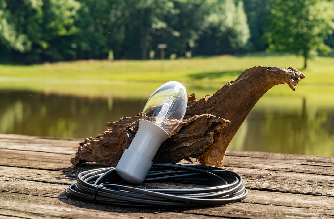 Replacement Bulb Assembly