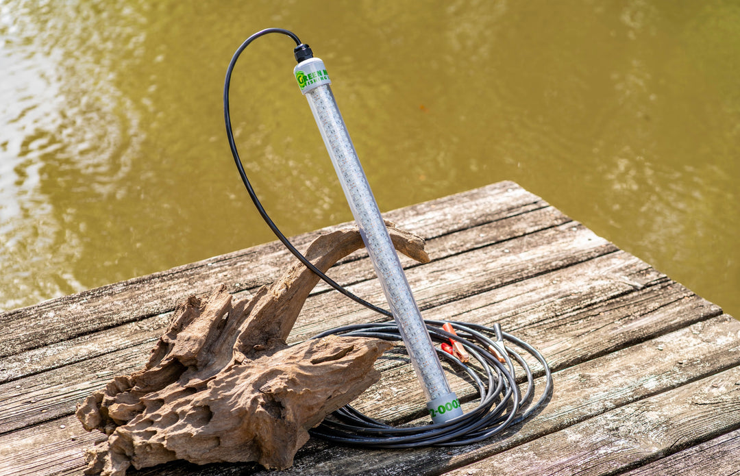 24" LED Portable Green Monster