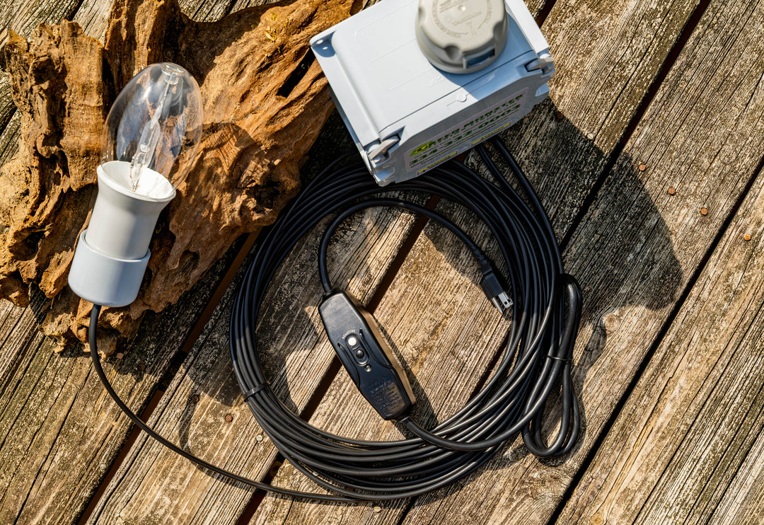 Single Light Kit