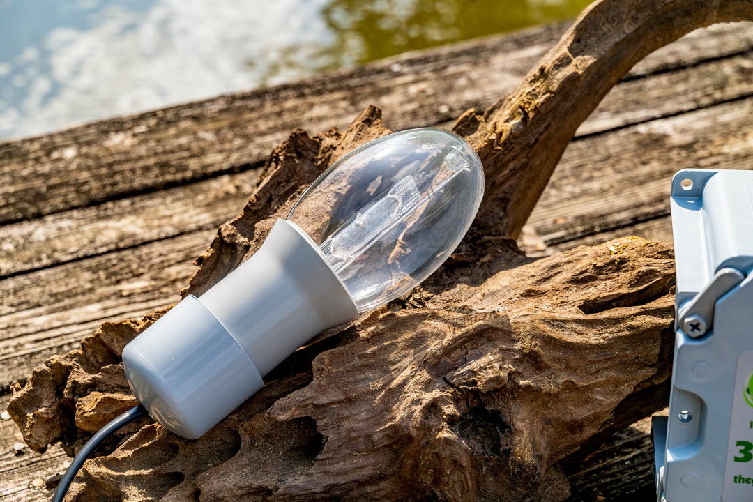Single Light Kit